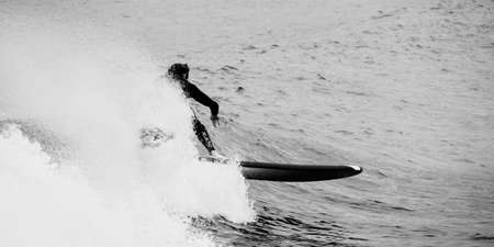 surfer,   wave,   ocean,   sea,   sport,   water,   man,   male,   person,   action,   activity,  ...
