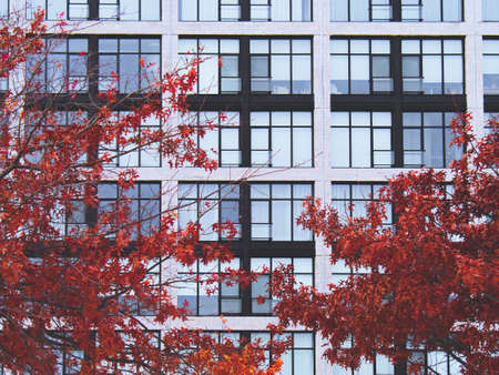 modern,   building,   exterior,   office,   corporation,   business,   facade,   design,  ...