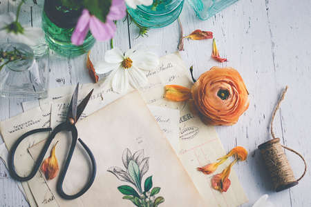 botanical,  flat lay,  background,  floral,  design,  rustic,  vintage,  scissors,  garden, ...