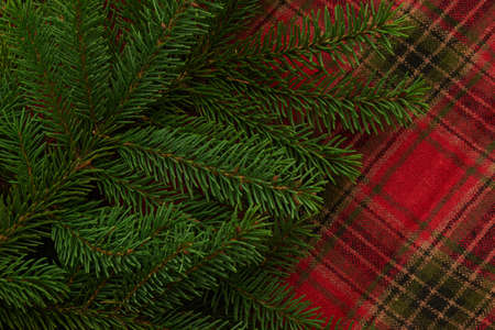 seasonal,   backgrounds,   christmas,   flat lay,   pine,   tree,   branches,   festive,  ...