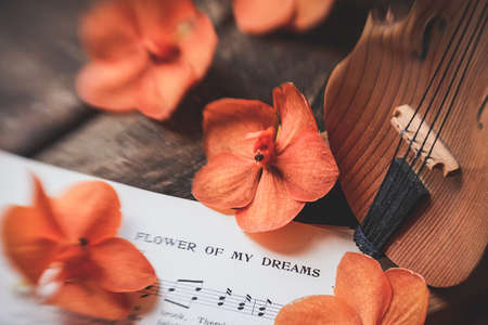 vintage,   music,   background,   violin,   instrument,   string,   orange,   flowers,   orchid,  ...