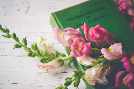 old,   book,   table,   vintage,   flowers,   rustic,   wooden,   literature,   antique,   desk,  ...