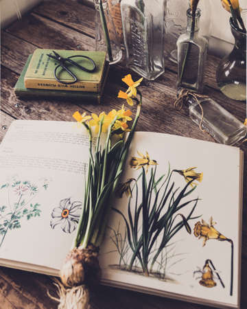 rustic,  flower,  background,  botanical,  book,   nature,   wood,   floral,   wildflower,  ...