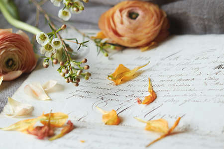 old,   letter,   close up,   note,   vintage,   history,   flower,   writing,   communication,  ...