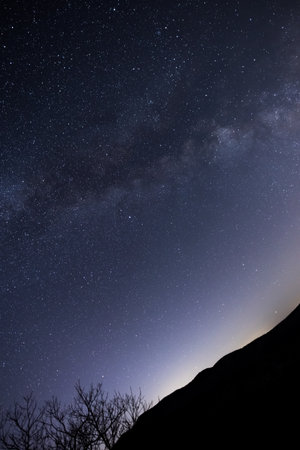 night,   tree,   starry,   sky,   galaxy,   space,   trees,   silhouette,   nature,   astronomy,  ...