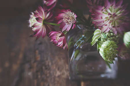rustic,   floral,   background,   nature,   vintage,   texture,   style,   old,   decoration,  ...