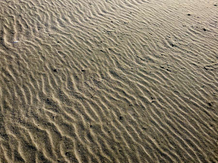 sand,   texture,   background,   textured,   abstract,   sandy,   nature,   beach,   desert,   dune,...