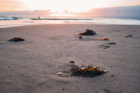 sky,   sunset,   beach,   sea,   dawn,   dusk,   sunrise,   sand,   sunlight,   ocean,   sun,  ...