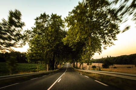 Selective Focus Photography of Road and Trees