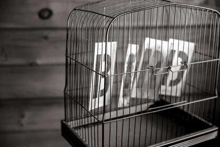 Grayscale Photography of Gray Birdcage Near Wall
