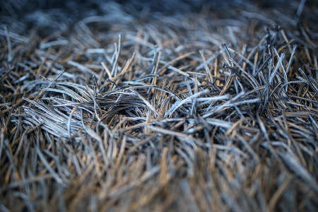 Carpet with fringe