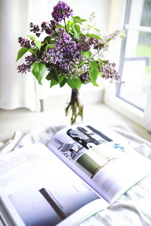 Sambucus / elder / elderberry