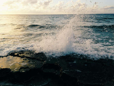 Seashore on Daytime