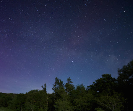 Green Trees Under Galaxy Stars