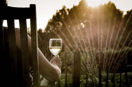 Person Holding Clear Wine Glass Facing Green Leafed Trees during Golden Hour