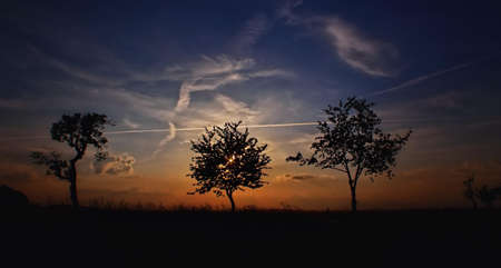 Silhouette Photo