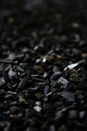 Black Charcoals