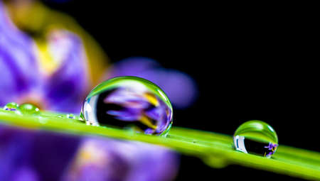 Close-up Photo of Dewdrops on Green Leaf