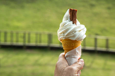 Vanila Sundae With Choco on Top