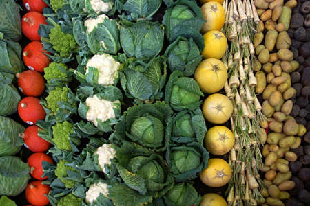 Different Fresh Vegetables Arranged Together