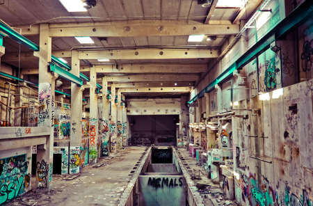 Graffiti on White Walls