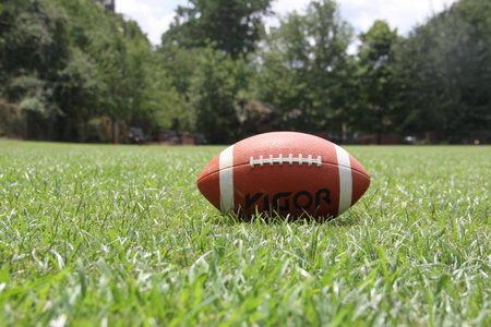 Kigoa Football on Green Grass during Daytime