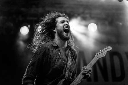 Guitarist of Greyscale Photo
