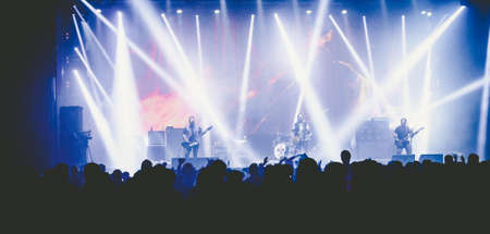 Panoramic View of Crowd at Music Concert