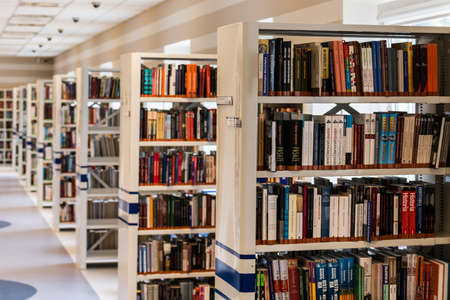 Row of Books in Shelf