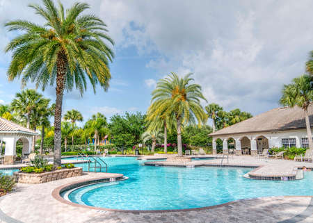 Swimming Pool Near Palm Tree