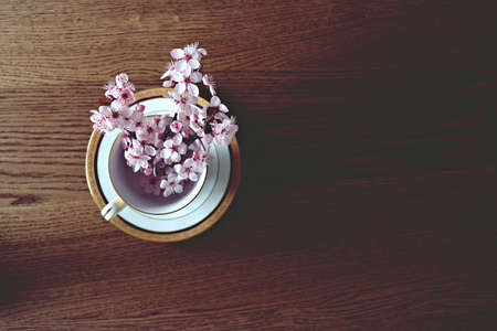 White-and-purple Flowers in White Ceramic Cup