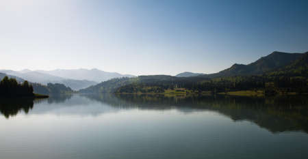 Body of Water Surrounded by Trees