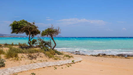 Trees on Shoreline \]