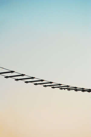 Black Ladder