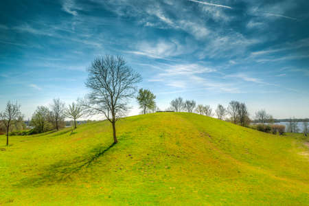 Green Grass Field