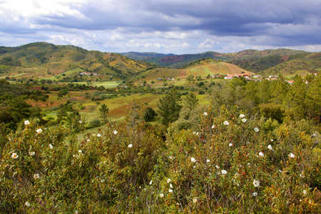 Beautiful sunny countryside landscape under cloudy sky.の写真素材