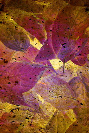 Grungy background with lots of colorful autumn leafs.