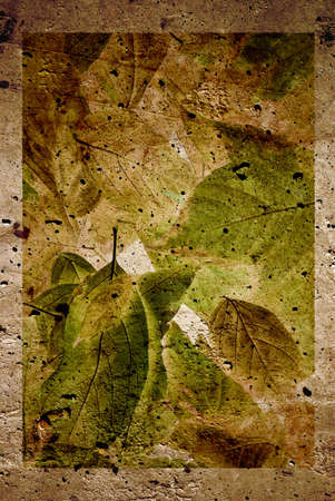 Grungy background with lots of colorful autumn leafs.の写真素材
