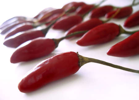 Red hot chili peppers aligned in rows over white background.