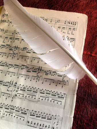 Old music partiture and white feather over red background
