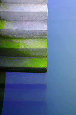 Detail of dock stairs covered with moss surrounded by the waterの写真素材