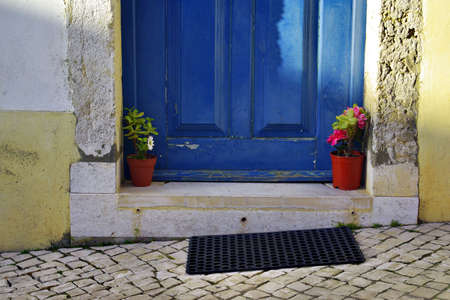 Detail of a traditional house door with flowers in vasesの写真素材