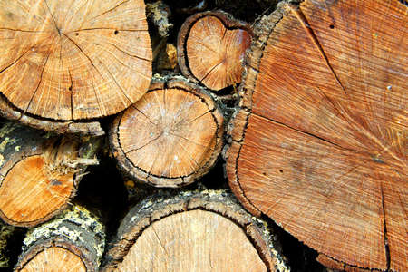 Detail of piled firewood trunks.