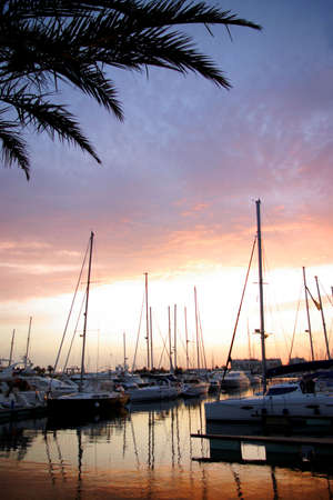 Marina with docked yachts in a summer evening at sunsetの写真素材