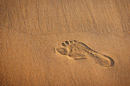 Single footprint in the wet sand of a beachの写真素材