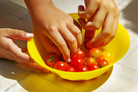 Closeup on three hands picking up cherry-tomatoes from a yellow plateの写真素材