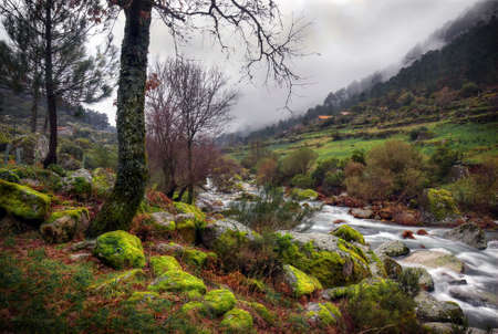 Landscape of a countryside scenery with trees and mossy rocks by a water springの写真素材