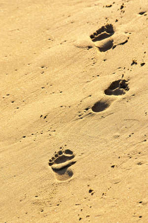 three footprints in the golden wet sand of a beach 