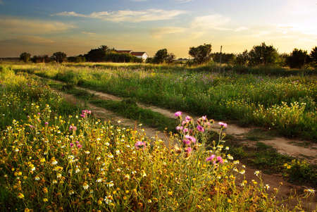 Beautiful countryside landscape with an old house ant sunsetの写真素材