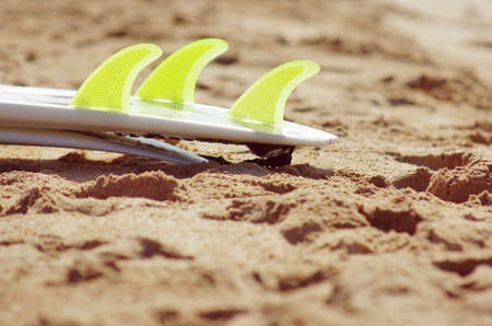 Detail of surfboard green fins resting on the wet sand of a beachの写真素材